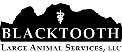 Blacktooth Large Animal Services, LLC